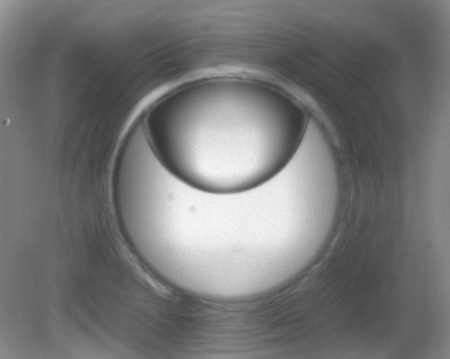 X0000082941230200702011103