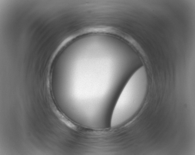 X0000082941232200702011103