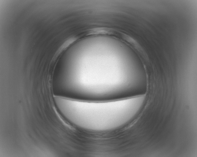 X0000082941233200702011103