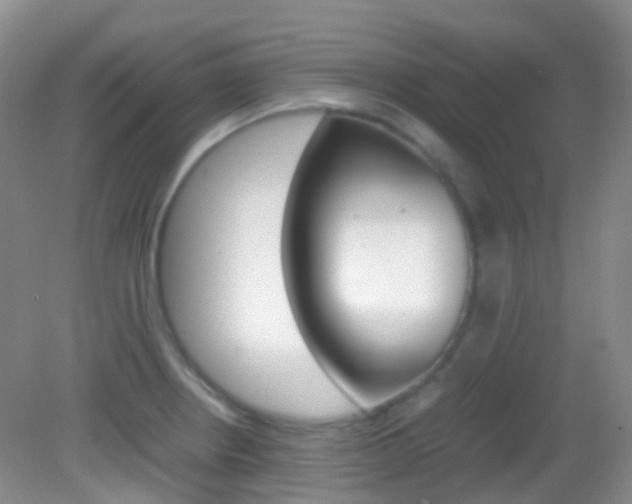 X0000082941234200702011103