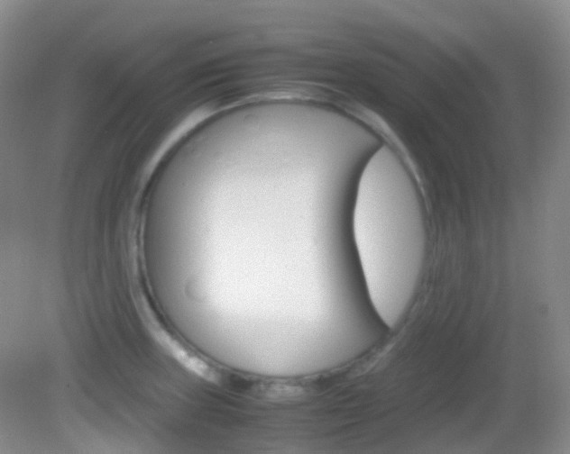 X0000082941235200702011103