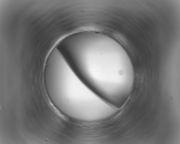 X0000082941236200702011103