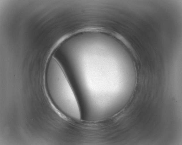 X0000082941237200702011103