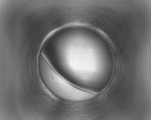 X0000082941238200702011104