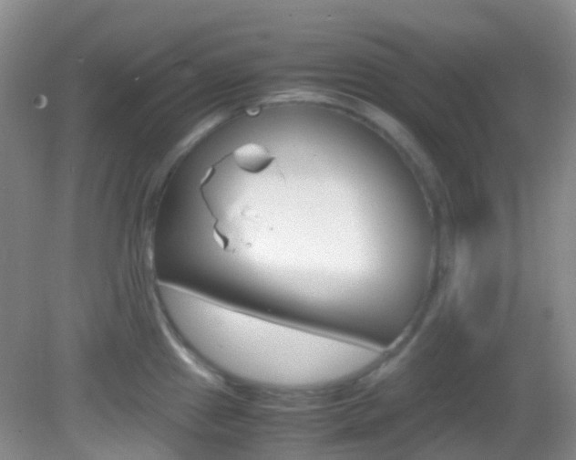 X0000082941241200702011104