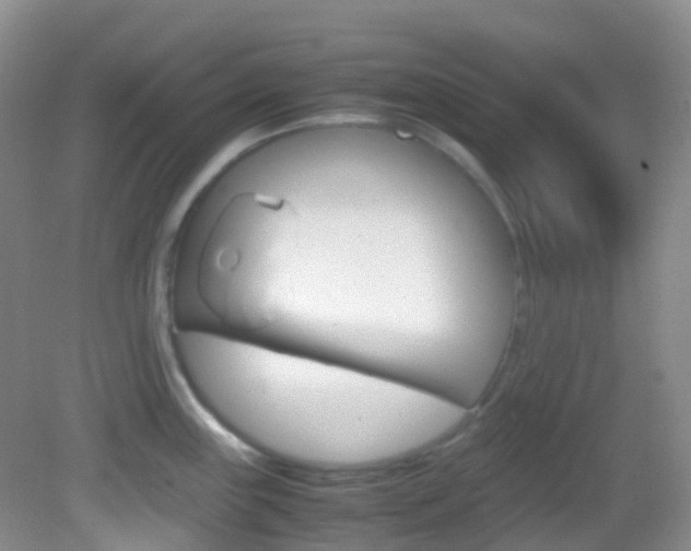 X0000082941243200702011104