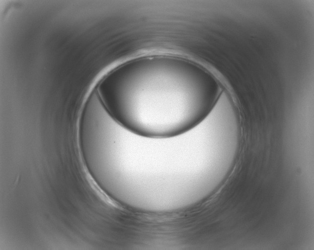 X0000082941246200702011104