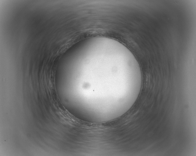 X0000082941250200702011103