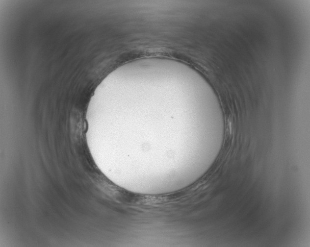 X0000082941251200702011103
