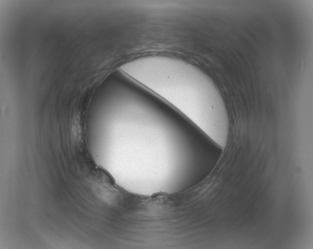 X0000082941252200702011103