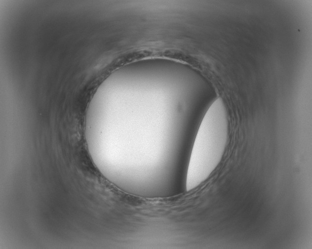 X0000082941253200702011103