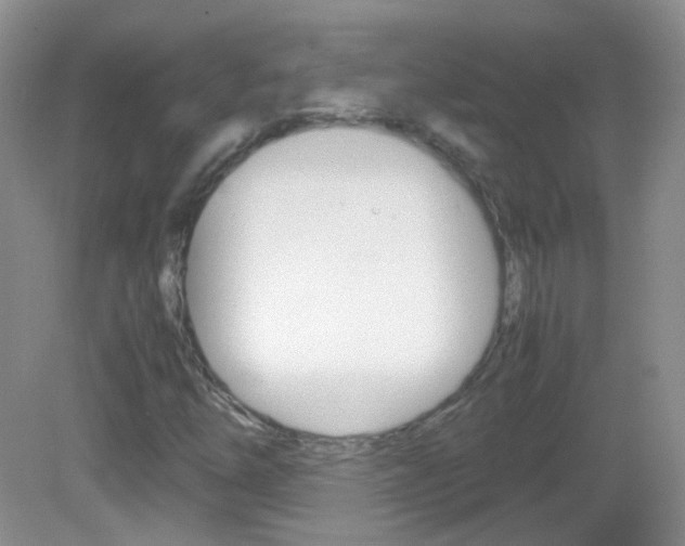 X0000082941254200702011103