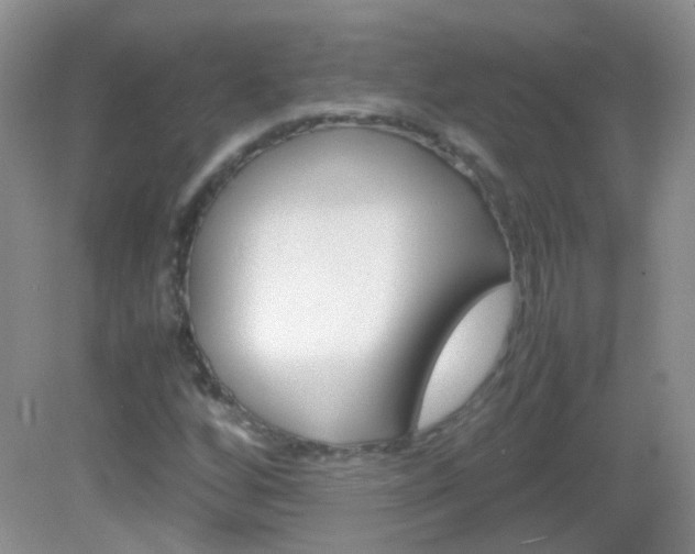 X0000082941256200702011103