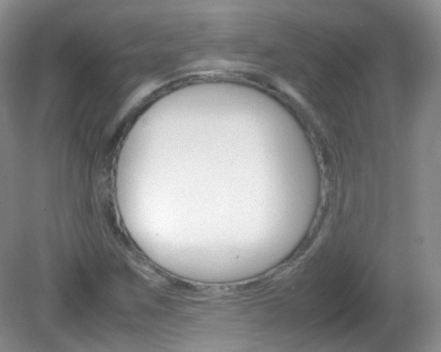X0000082941259200702011103