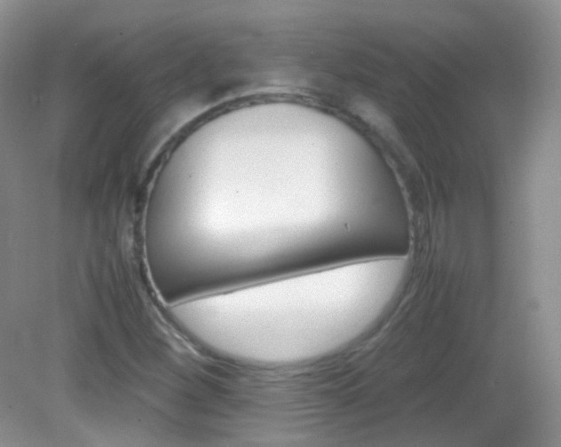 X0000082941260200702011103