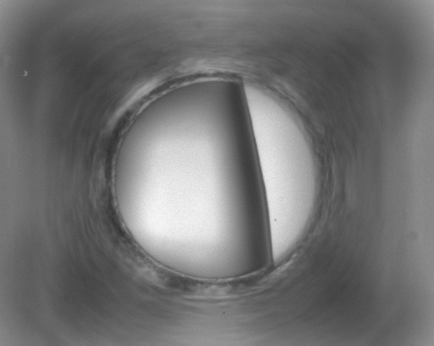 X0000082941261200702011103