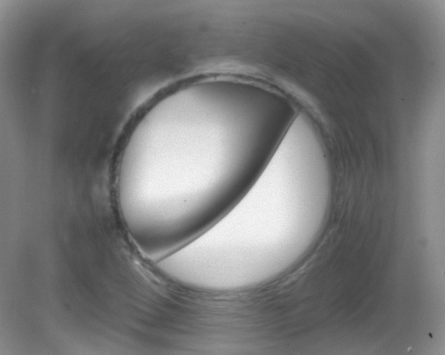 X0000082941264200702011103