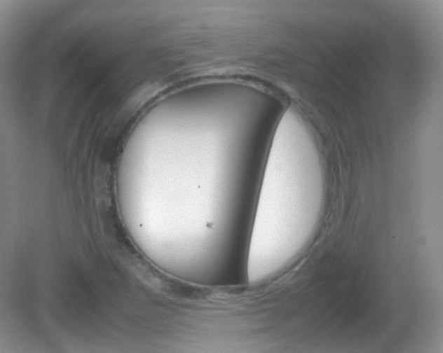 X0000082941265200702011103