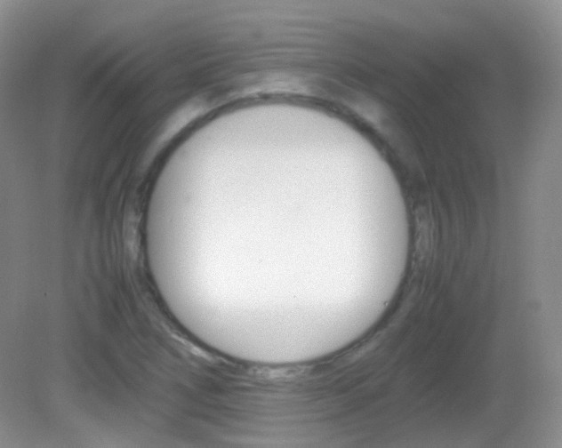 X0000082941266200702011103