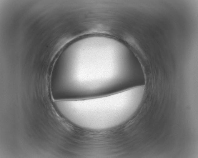 X0000082941268200702011103