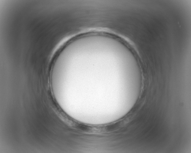 X0000082941271200702011103