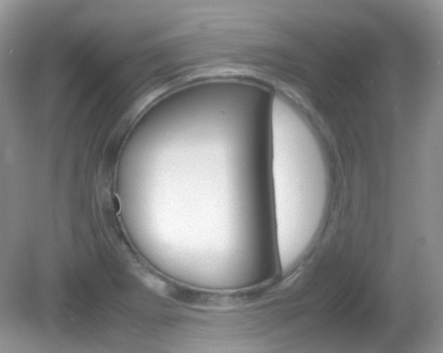 X0000082941273200702011102