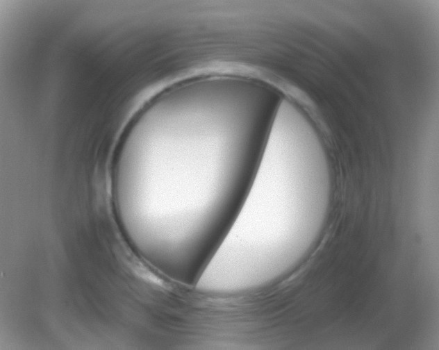 X0000082941280200702011102