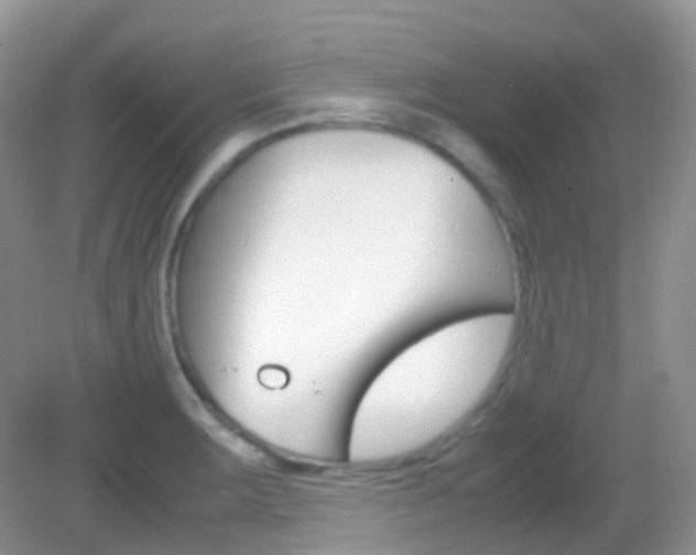 X0000082941283200702011102