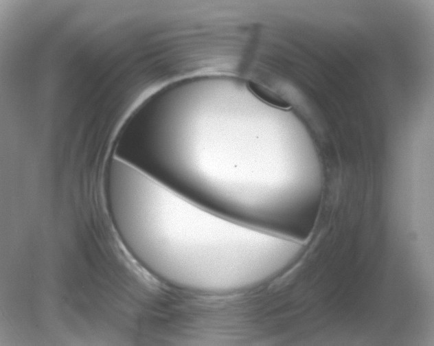 X0000082941284200702011102