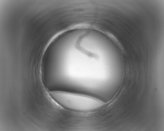 X0000082941288200702011102