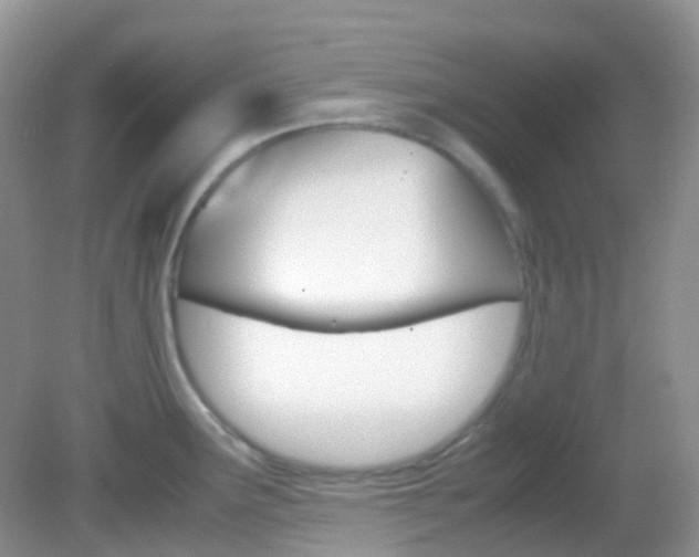 X0000082941291200702011102
