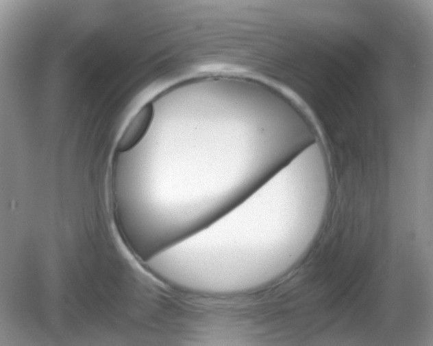X0000082941295200702011102