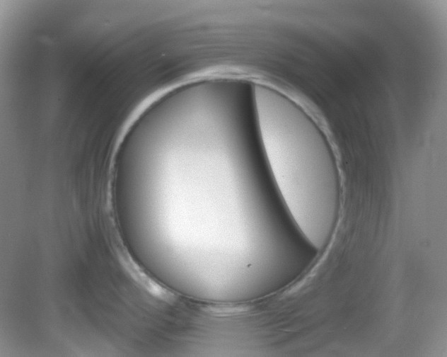 X0000082941296200702011102