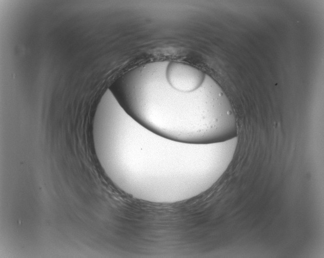 X0000082941297200702011101