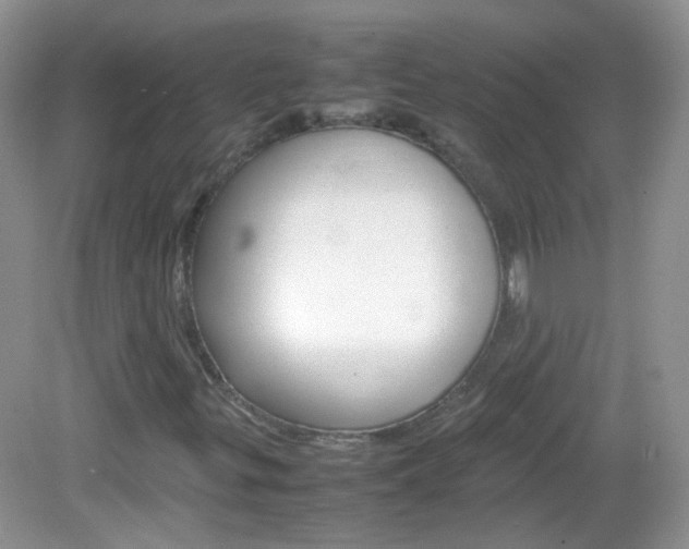 X0000082941299200702011101