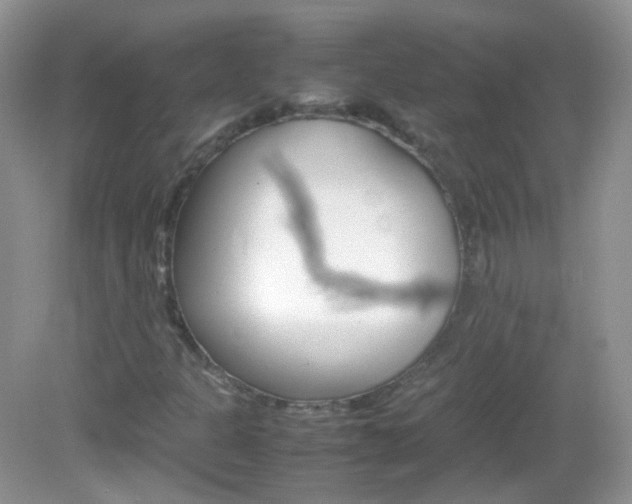 X0000082941301200702011101