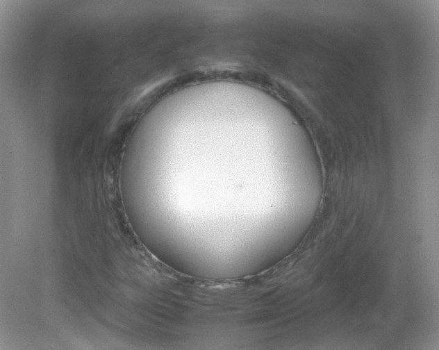 X0000082941303200702011101