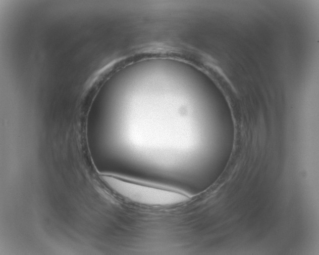 X0000082941304200702011101