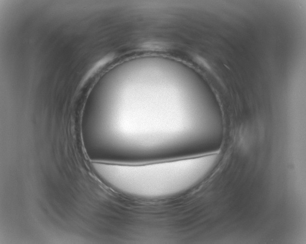 X0000082941307200702011101