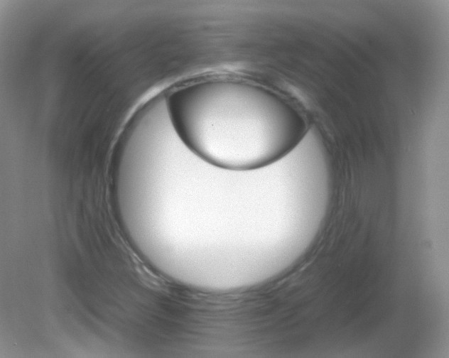 X0000082941308200702011101