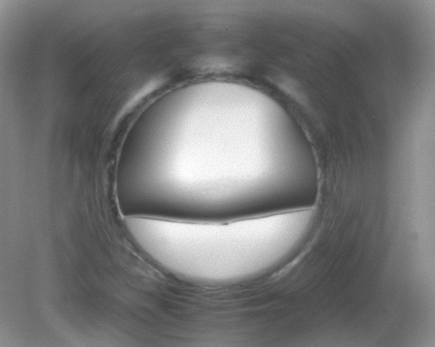 X0000082941309200702011101