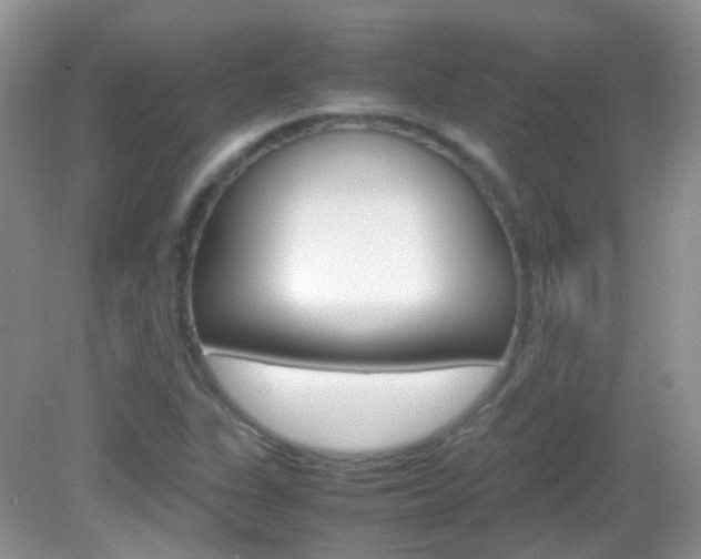 X0000082941311200702011102