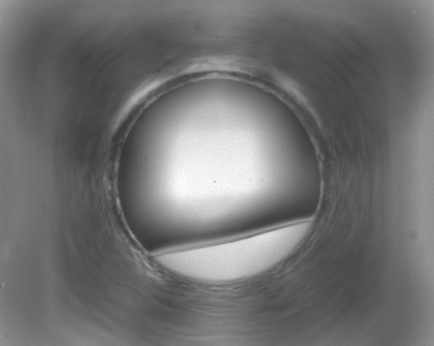 X0000082941312200702011102