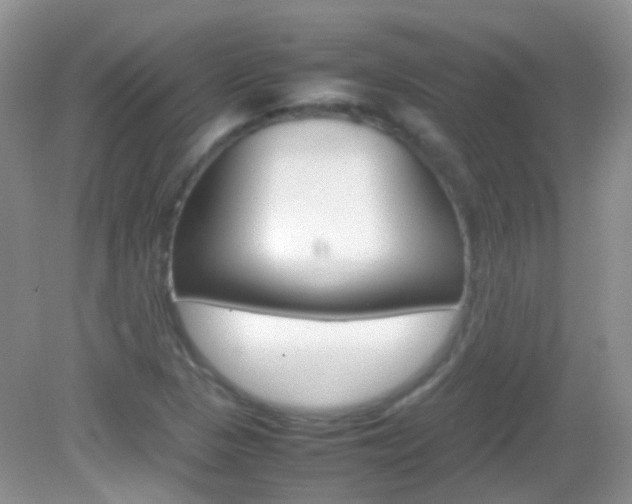 X0000082941313200702011102