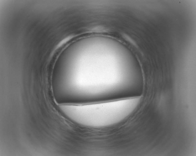 X0000082941315200702011102