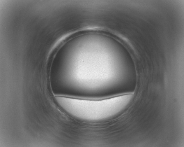 X0000082941319200702011102
