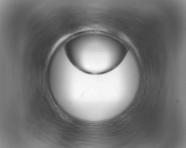 X0000082941320200702011102