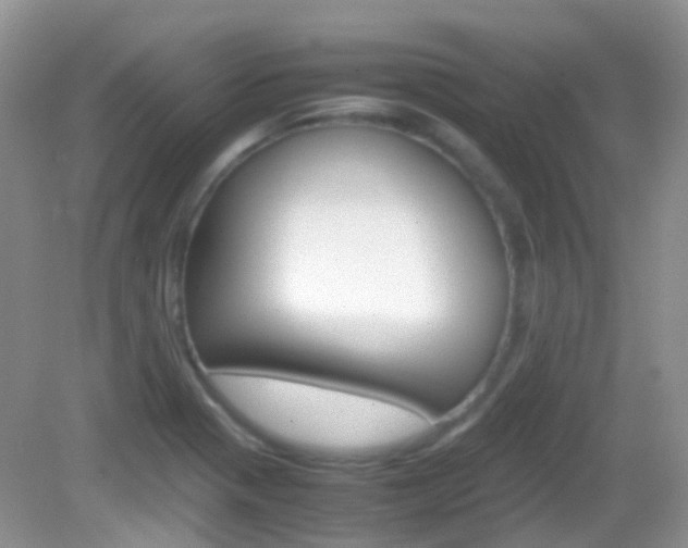 X0000082941321200702011102