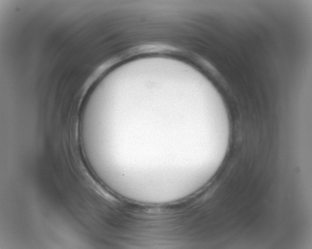 X0000082941322200702011102