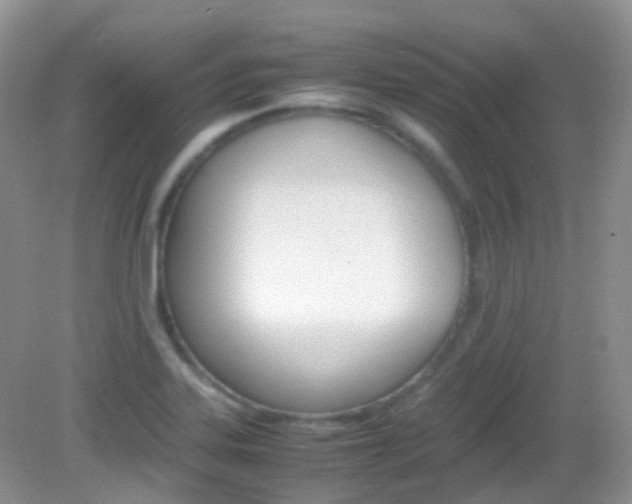X0000082941323200702011102